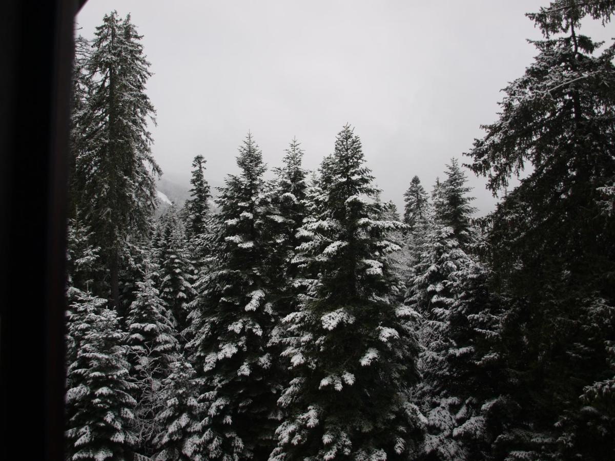 Borovets Forest View Eksteriør billede